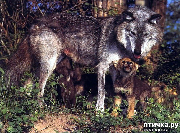 ���� 9: ����� � ����