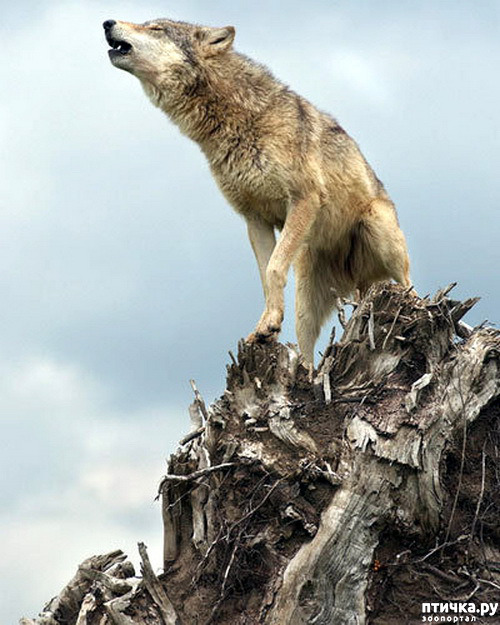 ���� 10: ����� � ����