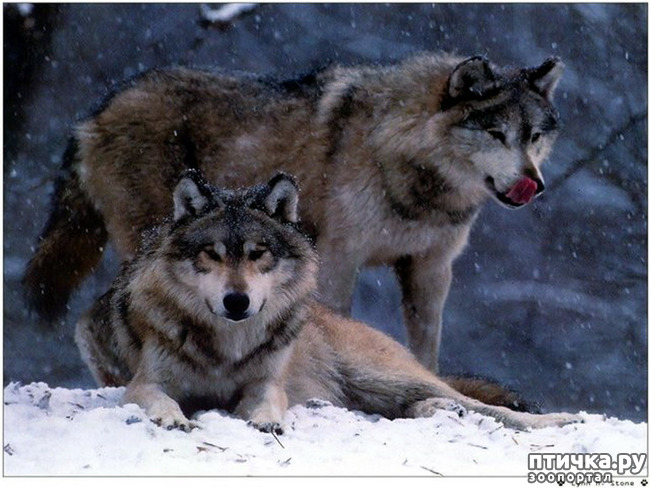 ���� 12: ����� � ����