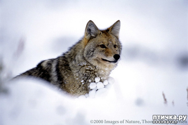 ���� 13: ����� � ����