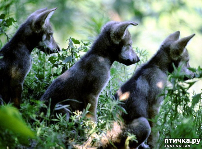 ���� 14: ����� � ����