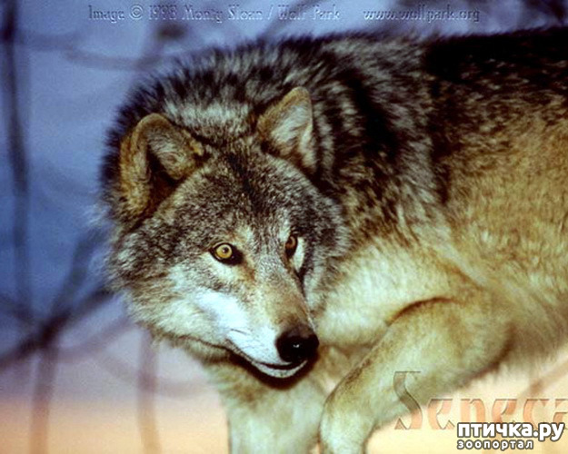 ���� 16: ����� � ����