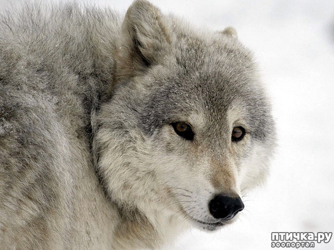 ���� 17: ����� � ����