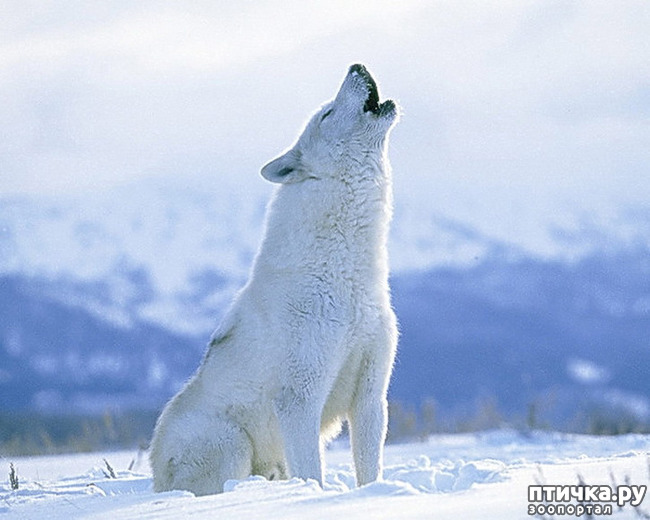 ���� 19: ����� � ����