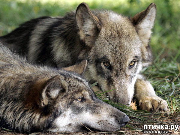 ���� 20: ����� � ����