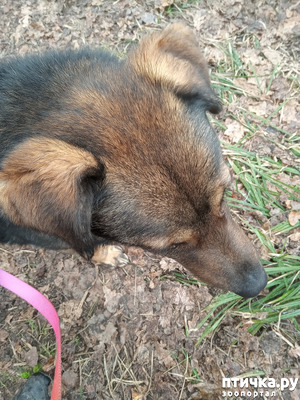 ����: ������� ����� �����. ������� � �� ������.