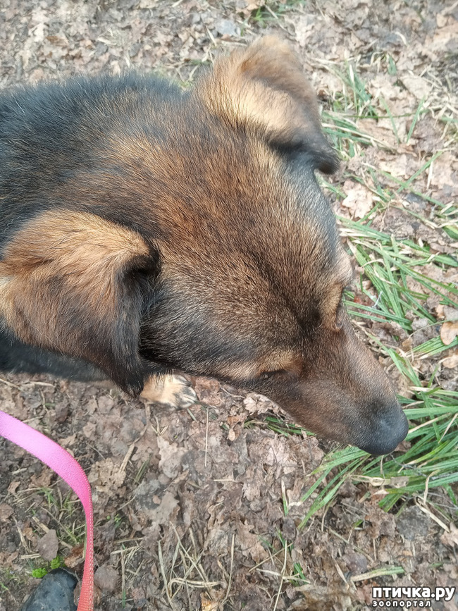 ���� 1: ������� ����� �����. ������� � �� ������.