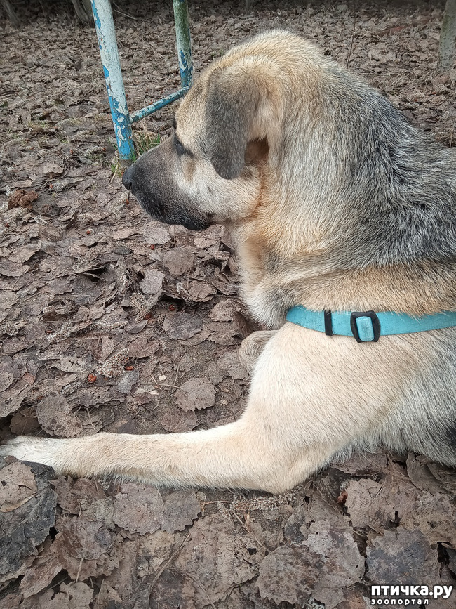 ���� 2: ������� ����� �����. ������� � �� ������.