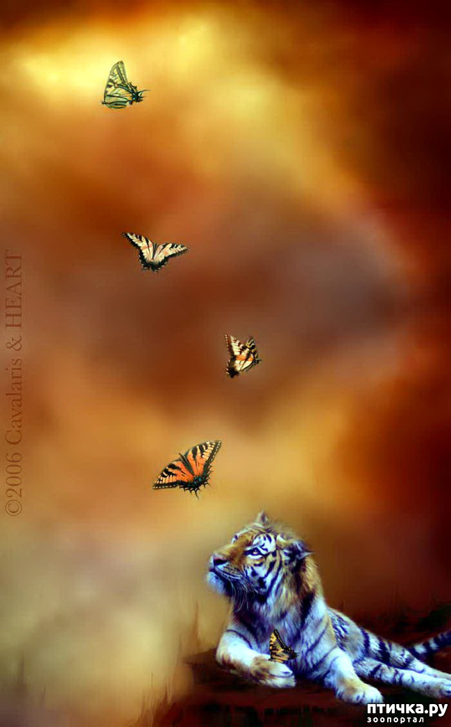 ���� 5: ����� ������� ��������