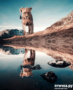 ���� 6: ����� ������� ��������