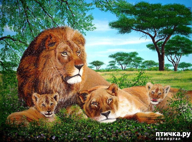 ���� 8: ����� ������� ��������