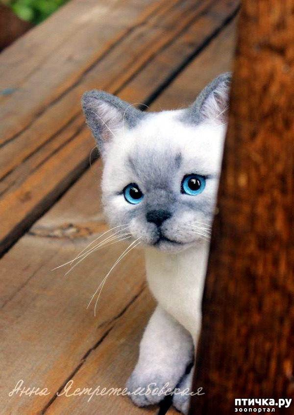 ���� 12: ����� ������� ��������