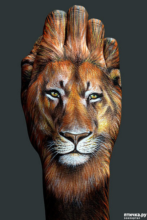 ���� 13: ����� ������� ��������