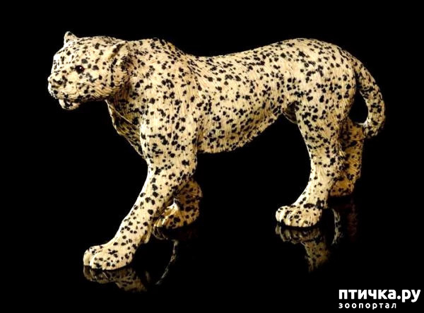 ���� 14: ����� ������� ��������