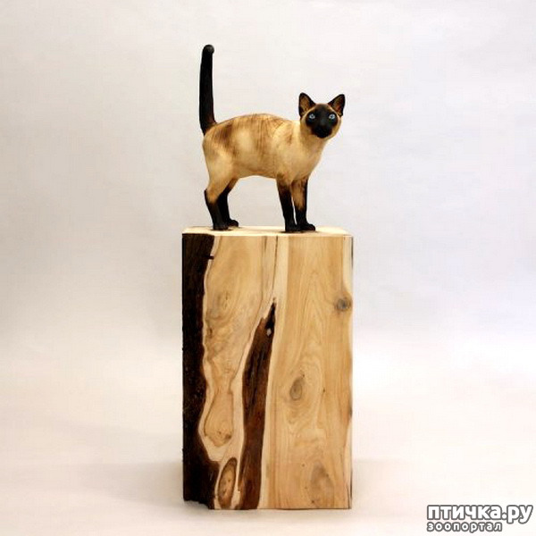 ���� 15: ����� ������� ��������