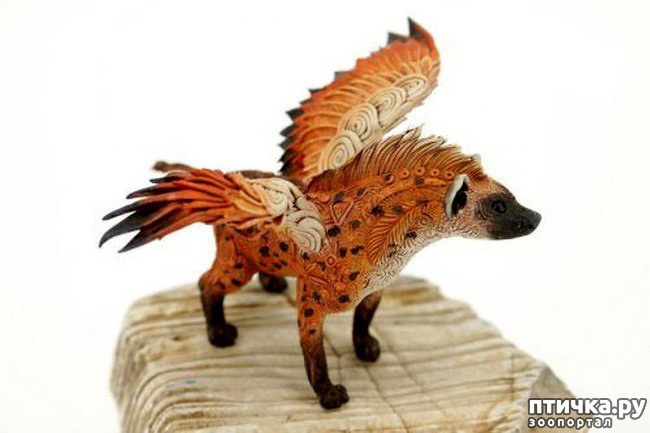 ���� 16: ����� ������� ��������