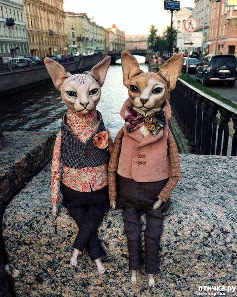 ���� 17: ����� ������� ��������