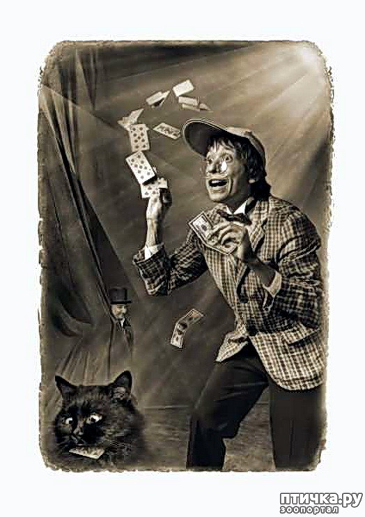 ���� 18: ����� ������� ��������