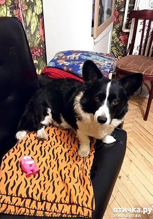 ����: �������� �� ���