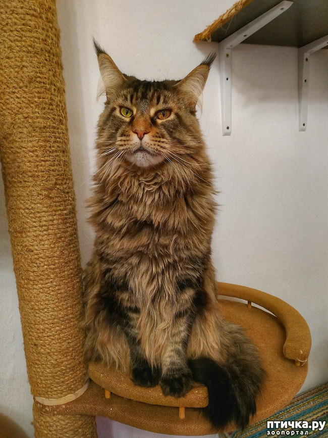 ���� 1: �������-�����