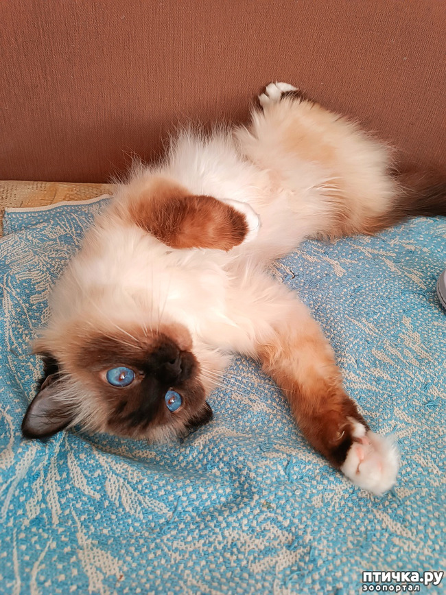 ���� 9: �������-�����