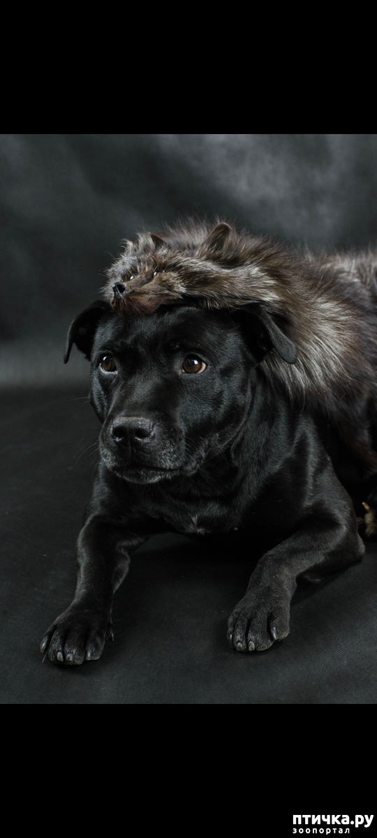 ���� 12: �������-�����