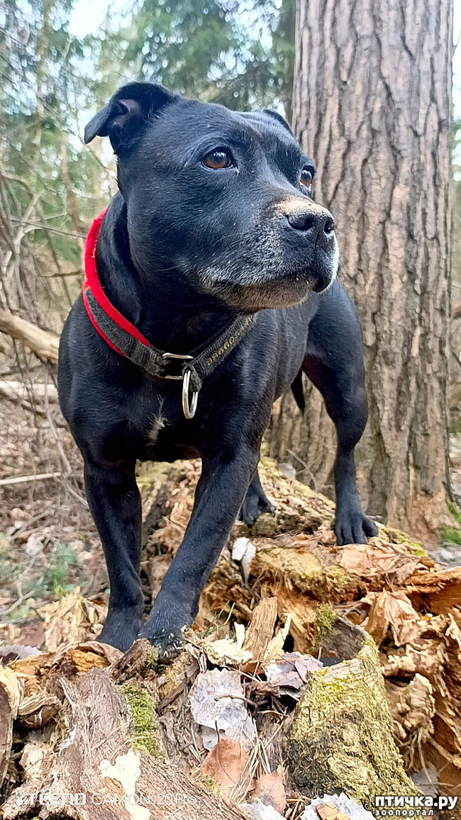 ���� 11: �������-�����