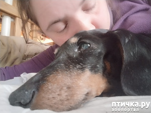 ����: �� ����� ��������