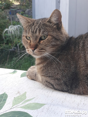 ����: � ����� ������� ��������! ����� ����� �� ��...