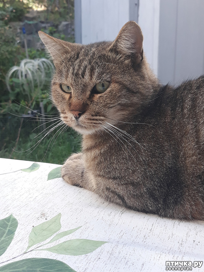 ���� 1: � ����� ������� ��������! ����� ����� �� ��...