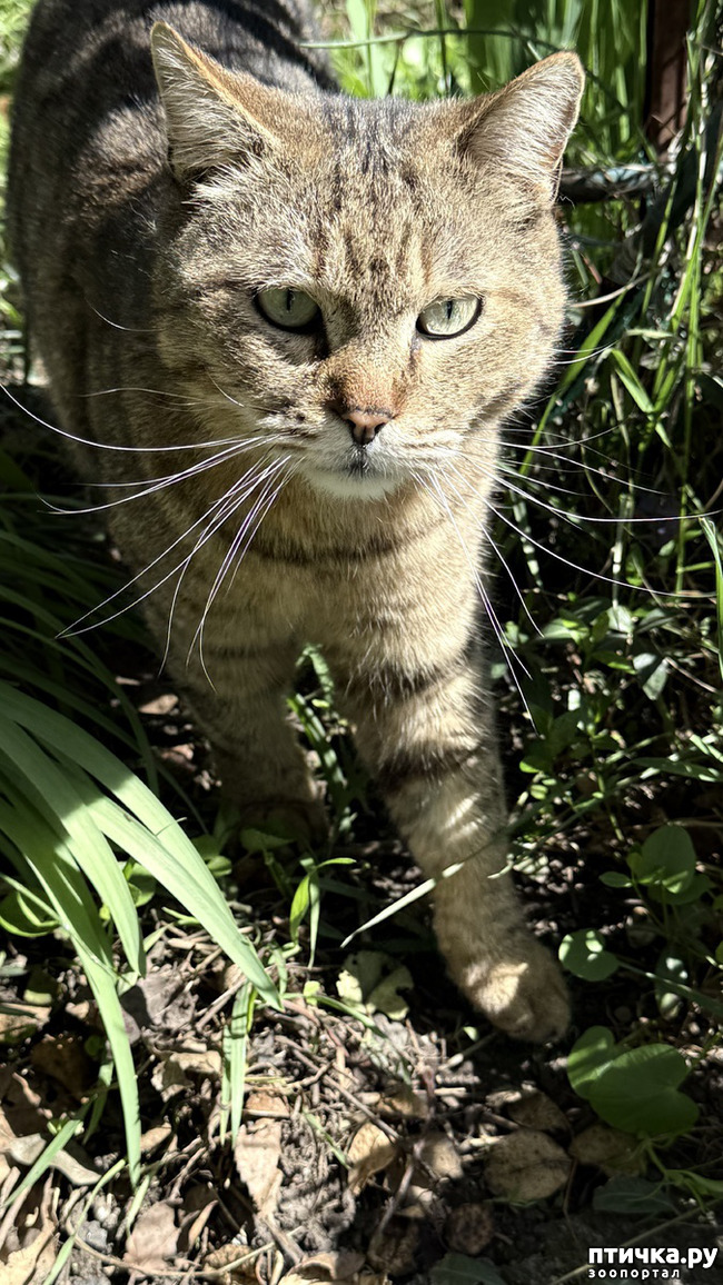 ���� 2: � ����� ������� ��������! ����� ����� �� ��...