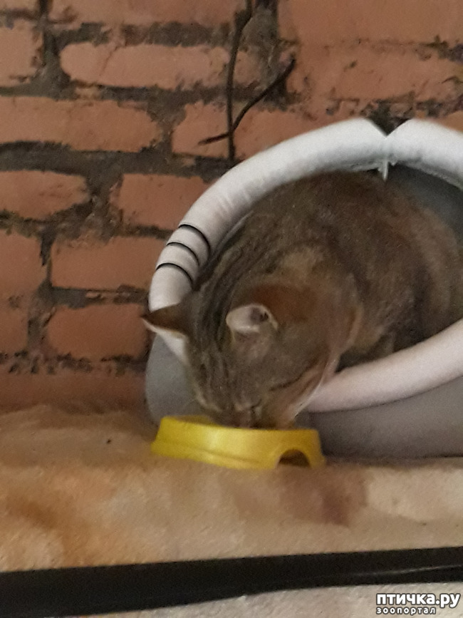 ���� 3: � ����� ������� ��������! ����� ����� �� ��...