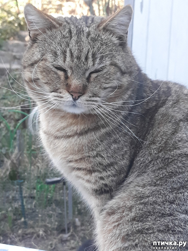 ���� 4: � ����� ������� ��������! ����� ����� �� ��...