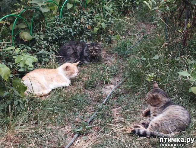 ���� 7: � ����� ������� ��������! ����� ����� �� ��...