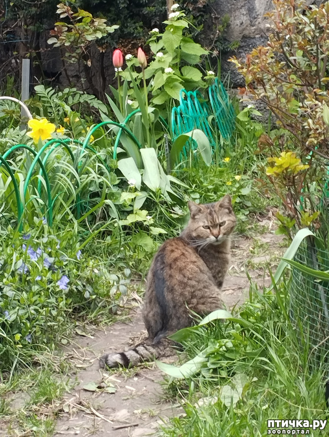 ���� 6: � ����� ������� ��������! ����� ����� �� ��...