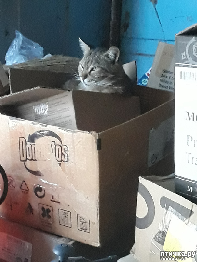 ���� 5: � ����� ������� ��������! ����� ����� �� ��...