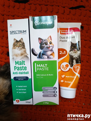 ����: ������ ��������