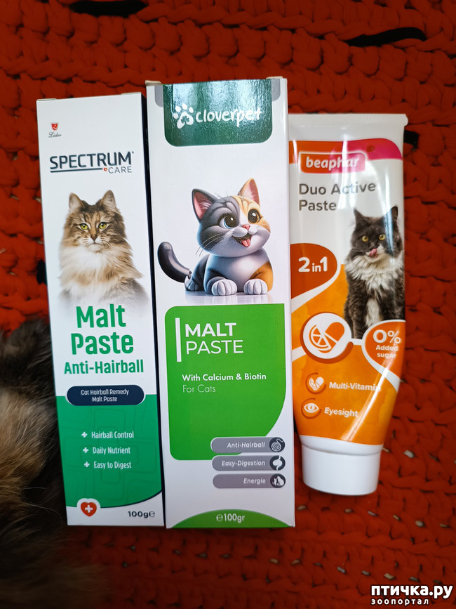 ���� 1: ������ ��������