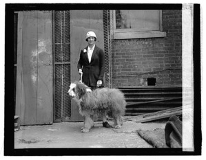 ����: �� ��������