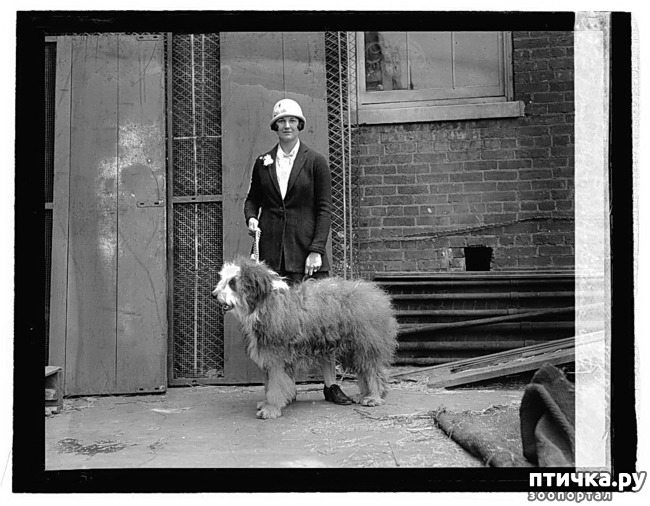 ���� 1: �� ��������