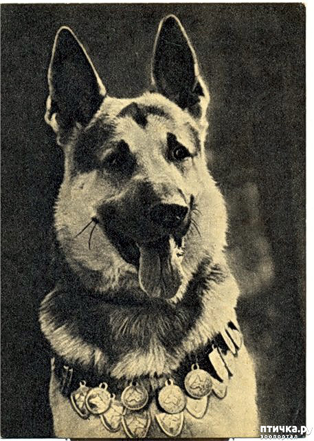 ���� 2: �� ��������