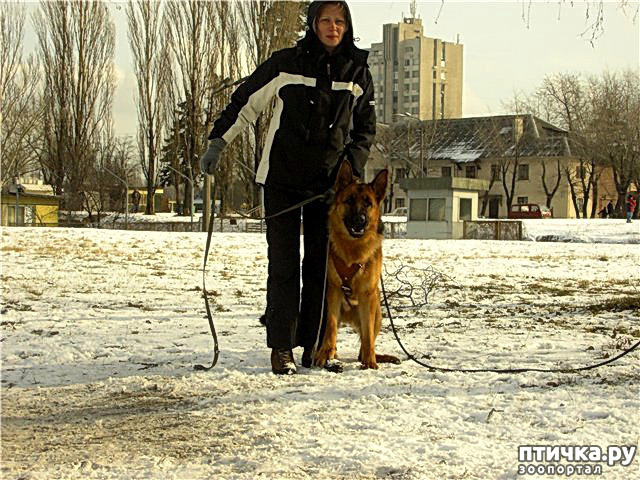 ���� 3: �� ��������