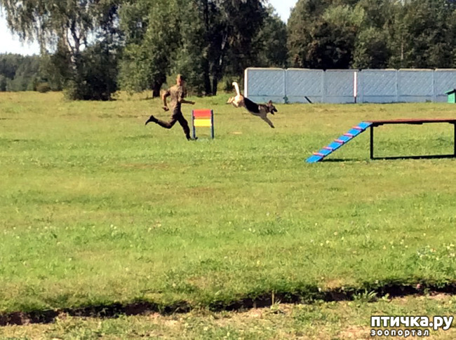 ���� 4: �� ��������