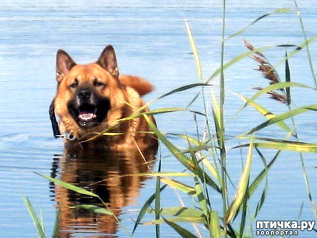 ���� 5: �� ��������