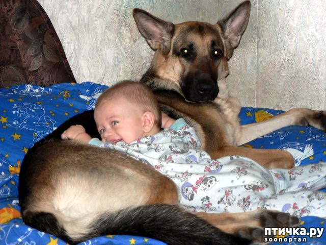 ���� 6: �� ��������