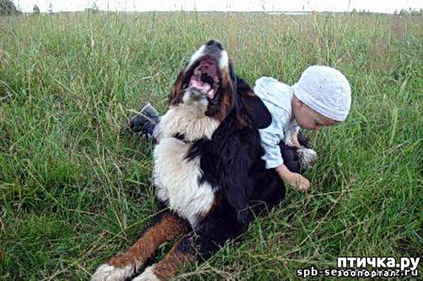 ���� 7: �� ��������