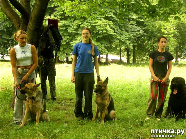 ���� 8: �� ��������