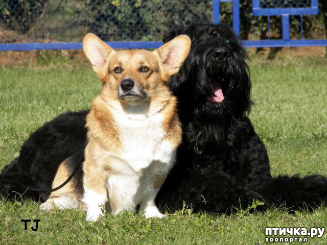 ���� 9: �� ��������