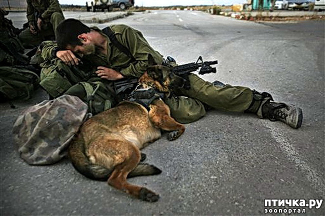 ���� 10: �� ��������