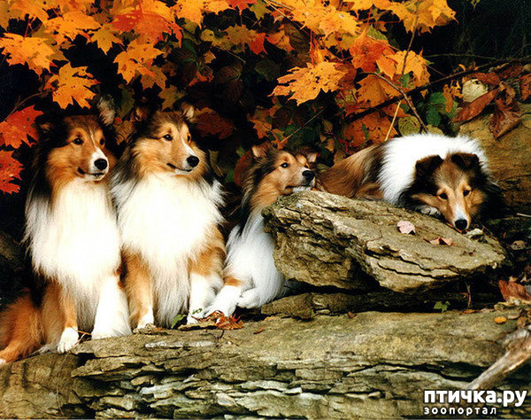 ���� 12: �� ��������